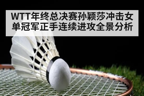 WTT年终总决赛孙颖莎冲击女单冠军正手连续进攻全景分析